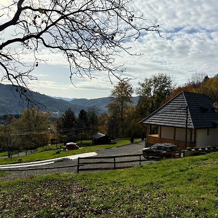 Hotel Casa Berg Vişeu de Sus Zewnętrze zdjęcie