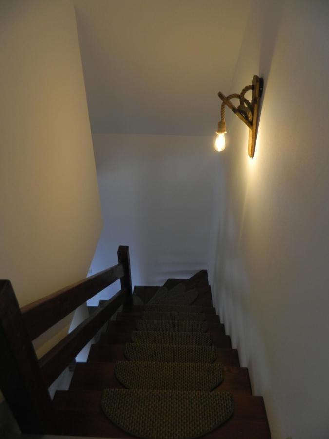 Hotel Casa Berg Vişeu de Sus Zewnętrze zdjęcie