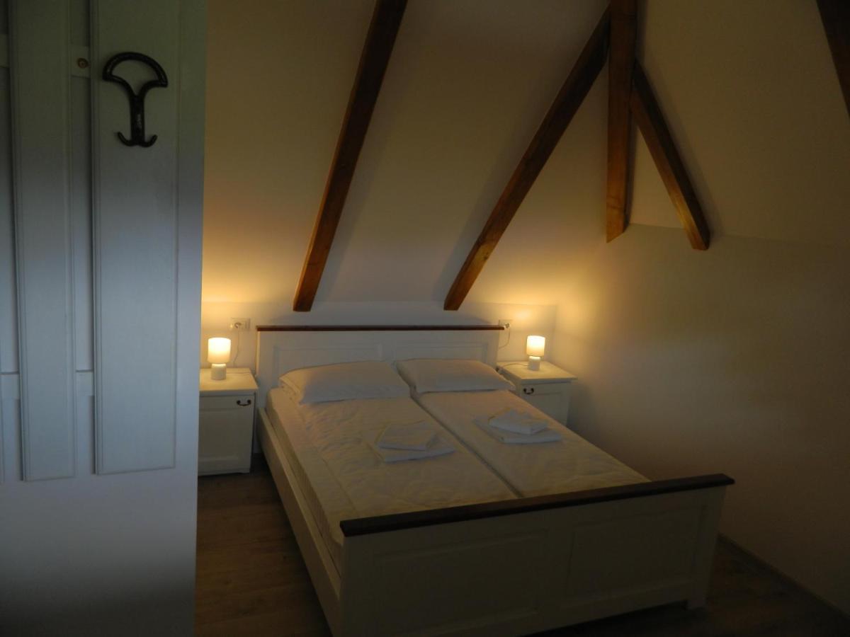 Hotel Casa Berg Vişeu de Sus Zewnętrze zdjęcie