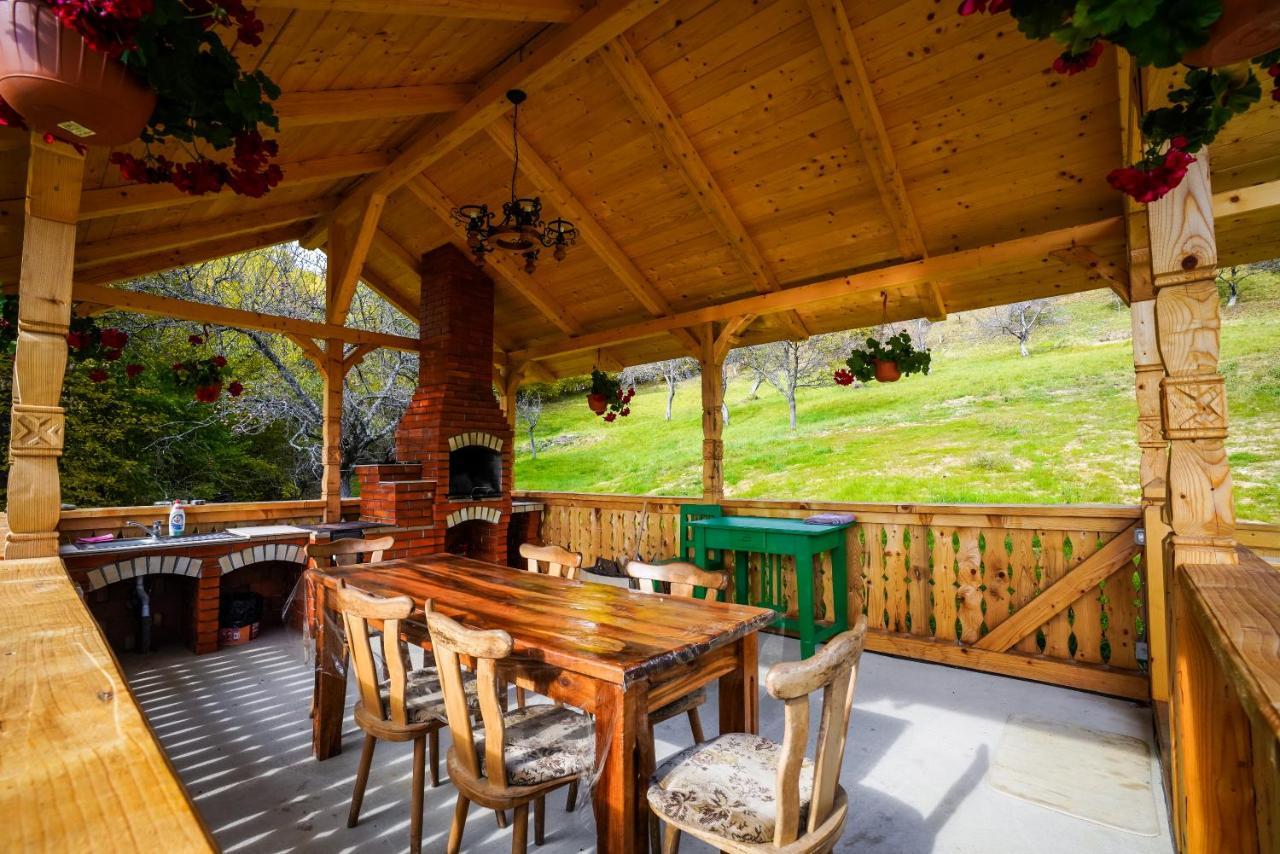 Hotel Casa Berg Vişeu de Sus Zewnętrze zdjęcie