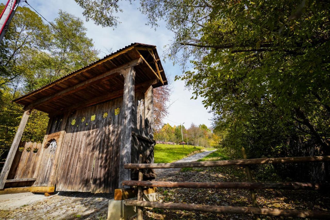 Hotel Casa Berg Vişeu de Sus Zewnętrze zdjęcie