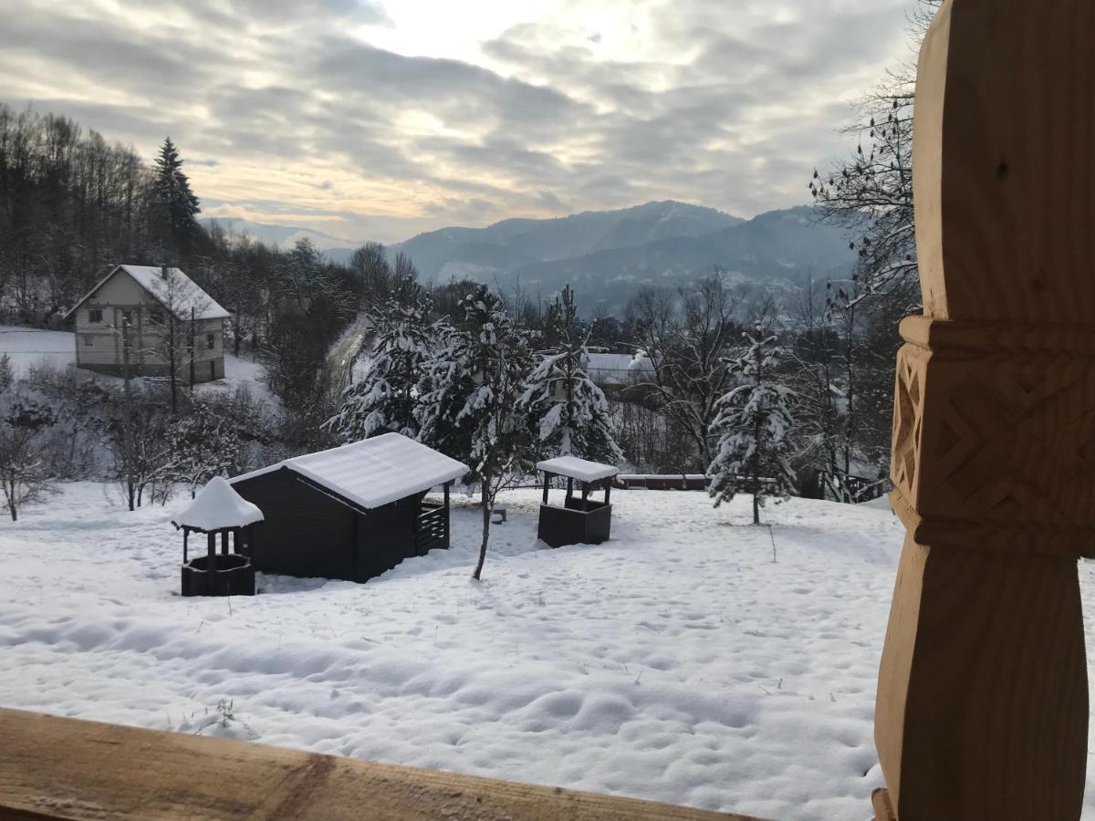 Hotel Casa Berg Vişeu de Sus Zewnętrze zdjęcie