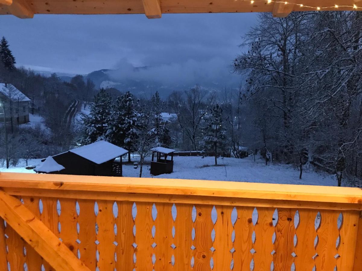 Hotel Casa Berg Vişeu de Sus Zewnętrze zdjęcie