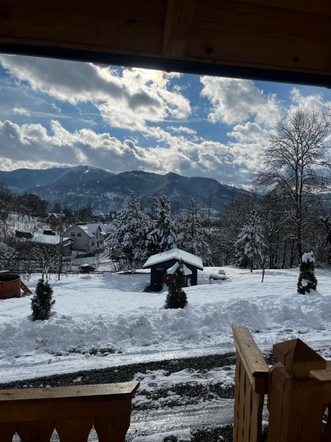 Hotel Casa Berg Vişeu de Sus Zewnętrze zdjęcie