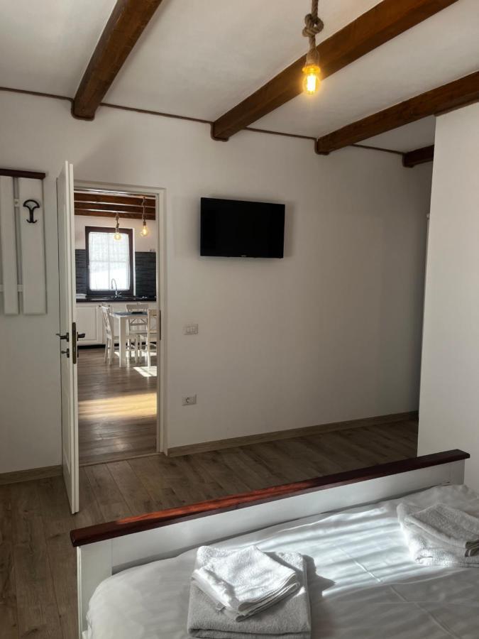Hotel Casa Berg Vişeu de Sus Zewnętrze zdjęcie