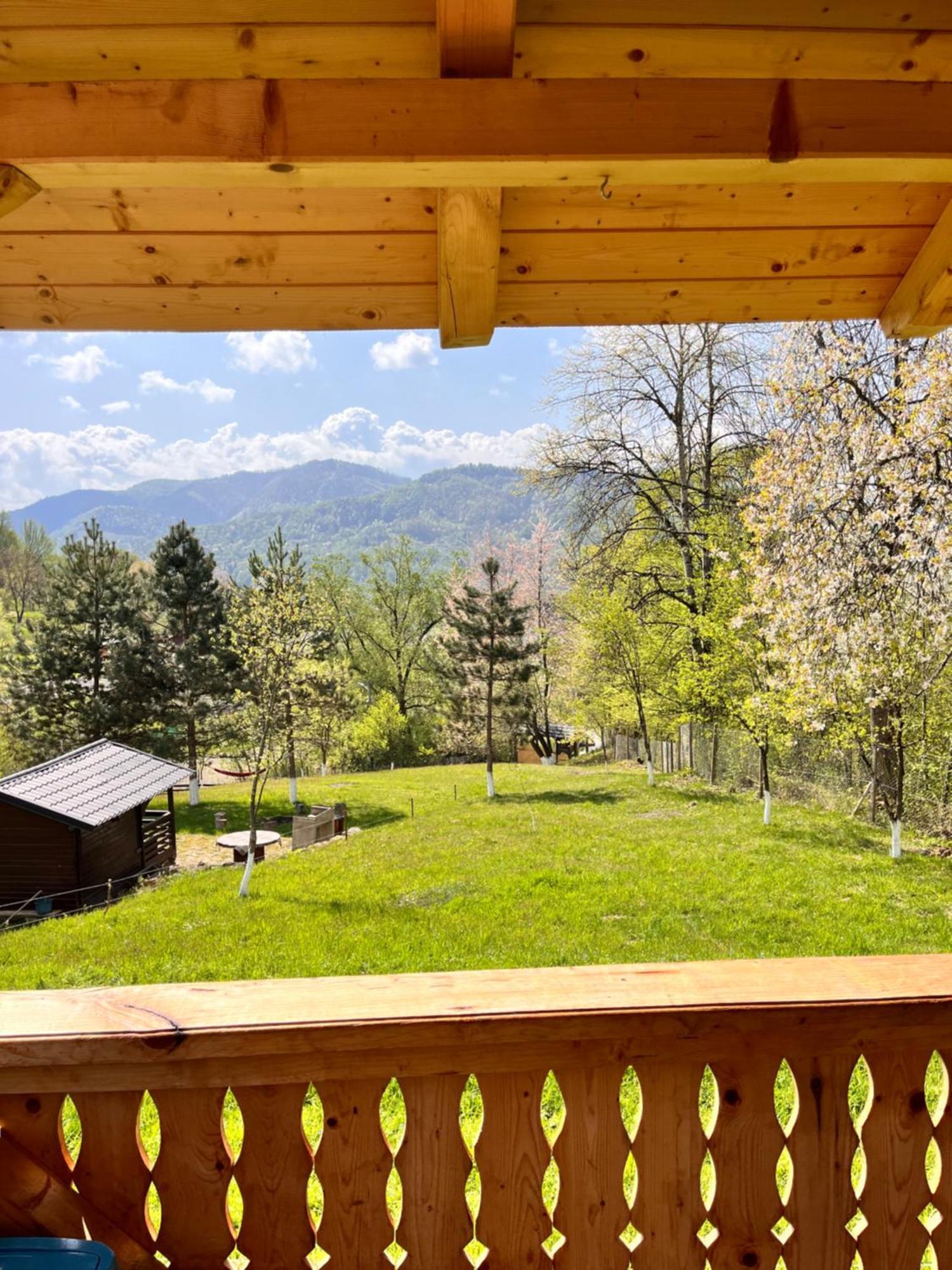Hotel Casa Berg Vişeu de Sus Zewnętrze zdjęcie