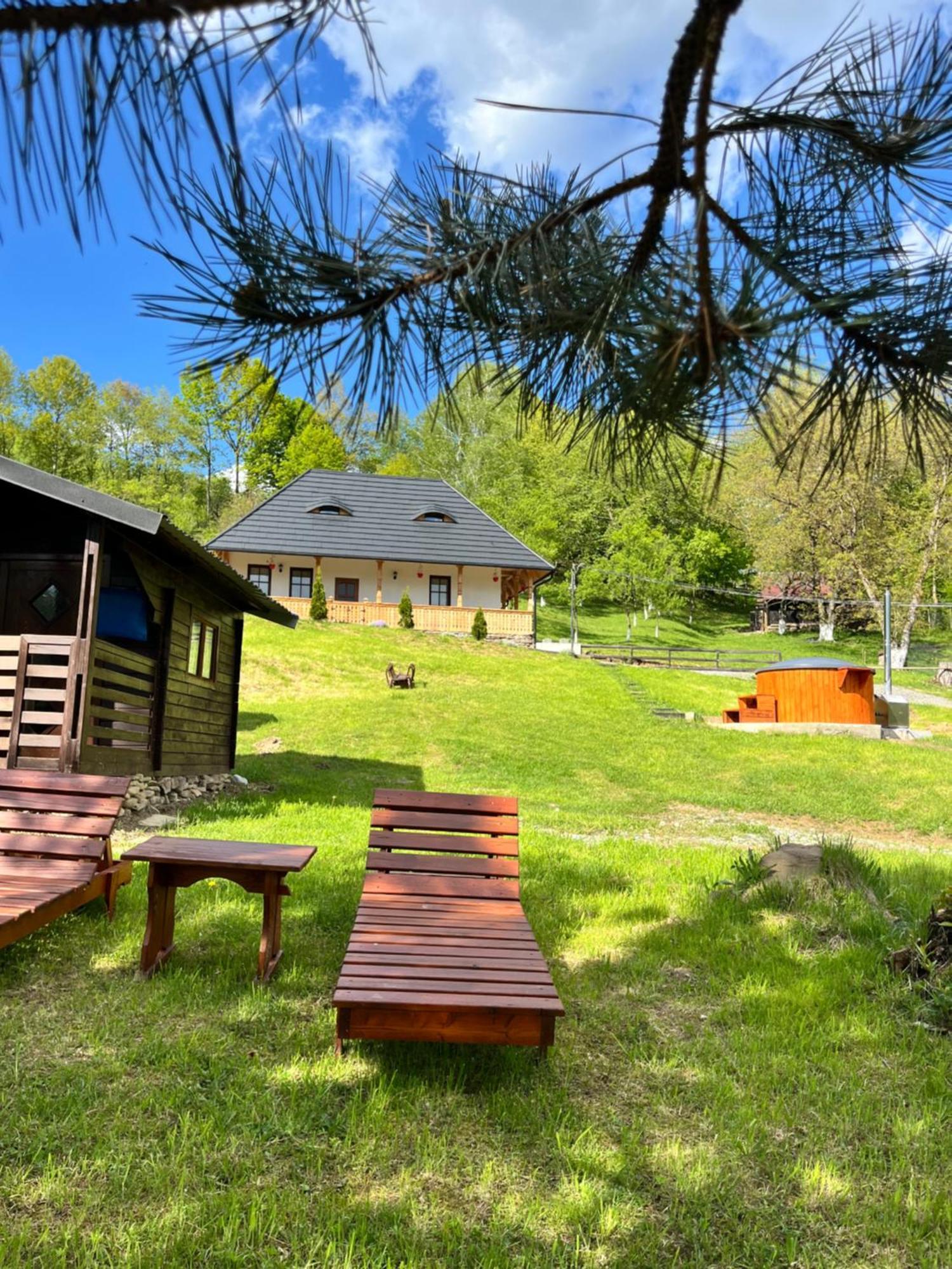 Hotel Casa Berg Vişeu de Sus Zewnętrze zdjęcie
