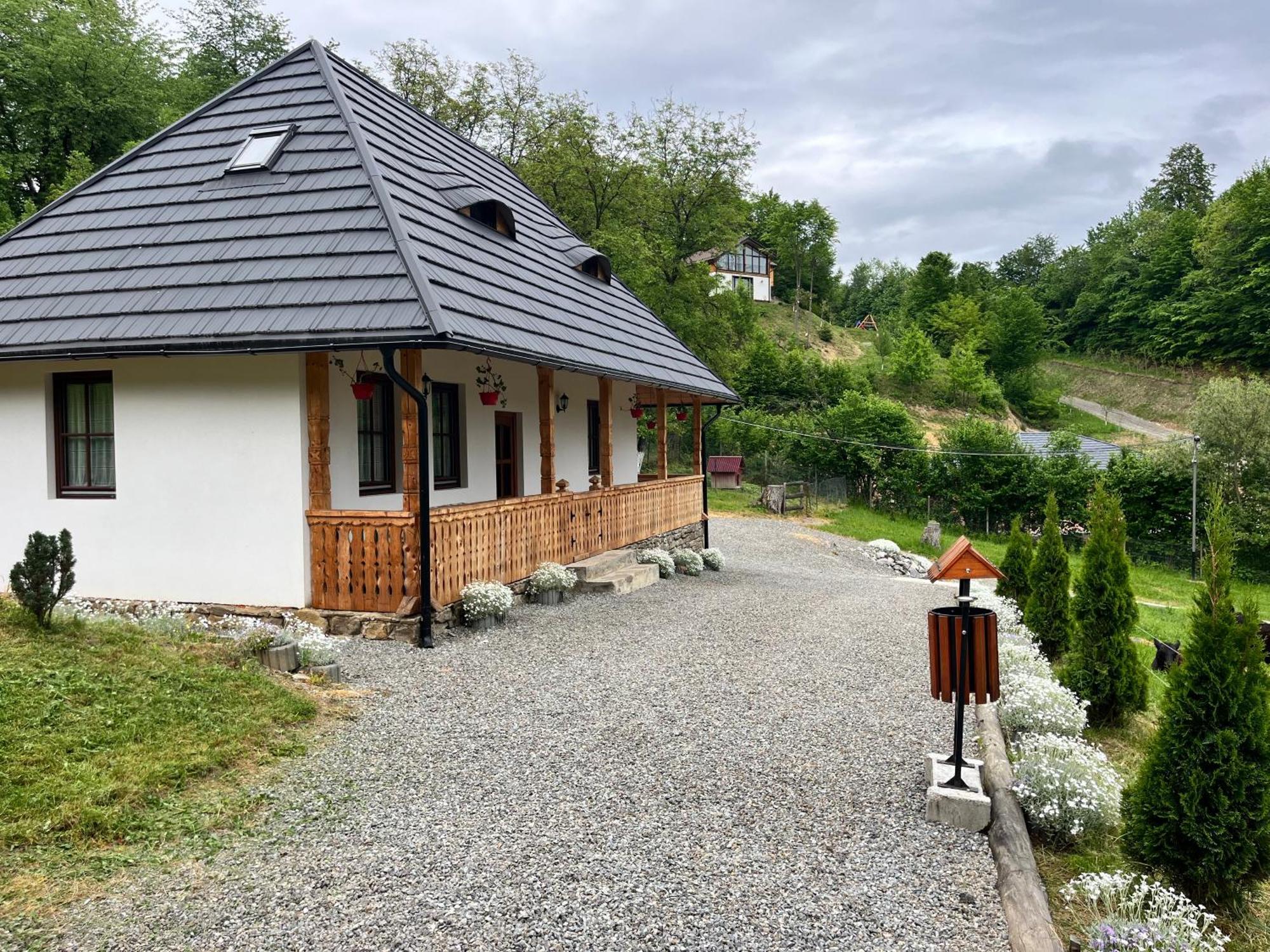 Hotel Casa Berg Vişeu de Sus Zewnętrze zdjęcie