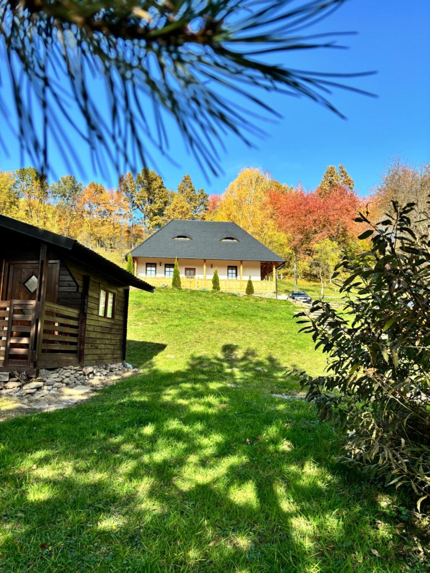 Hotel Casa Berg Vişeu de Sus Zewnętrze zdjęcie
