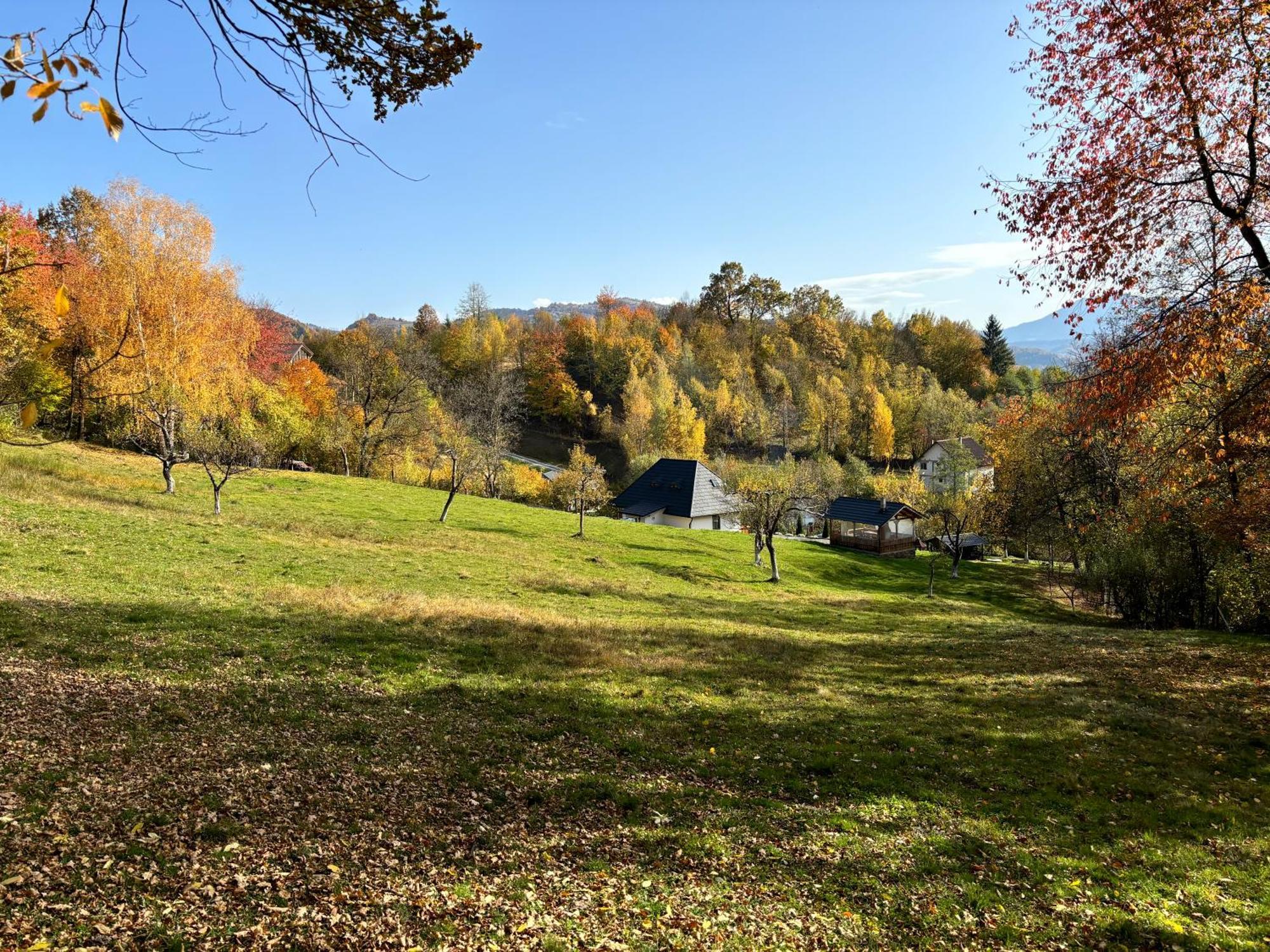 Hotel Casa Berg Vişeu de Sus Zewnętrze zdjęcie