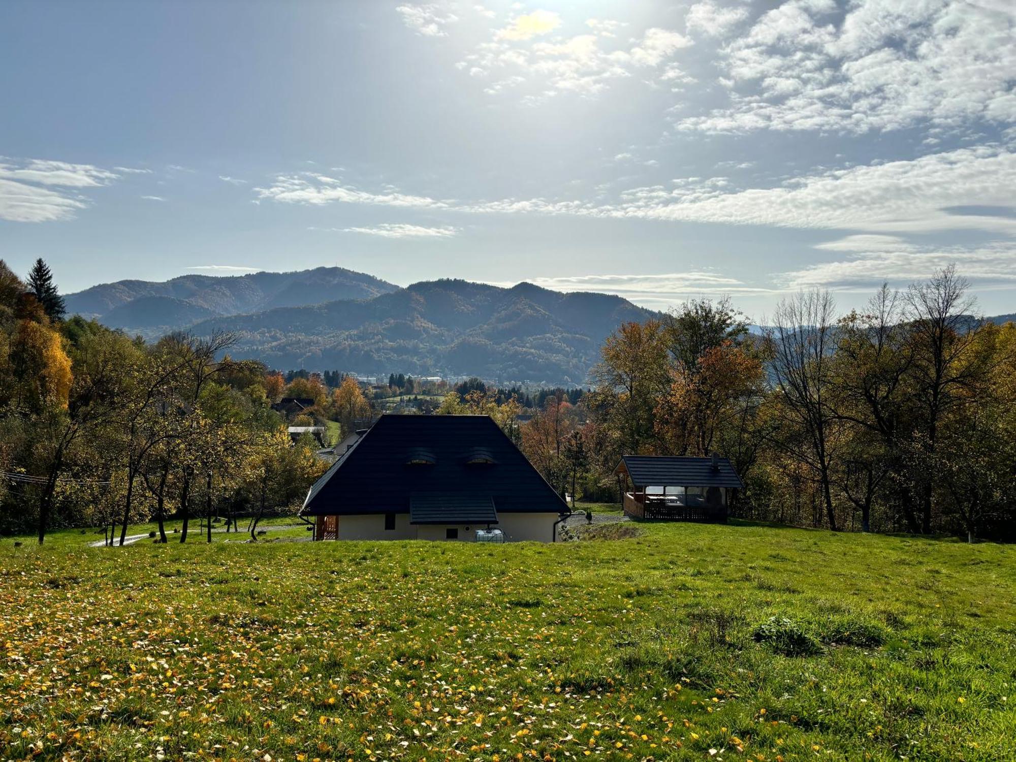 Hotel Casa Berg Vişeu de Sus Zewnętrze zdjęcie