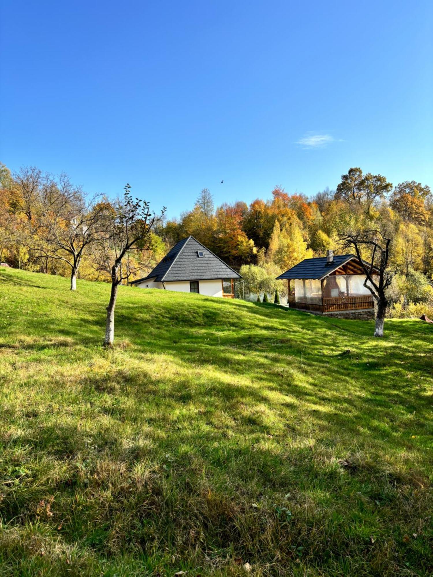 Hotel Casa Berg Vişeu de Sus Zewnętrze zdjęcie