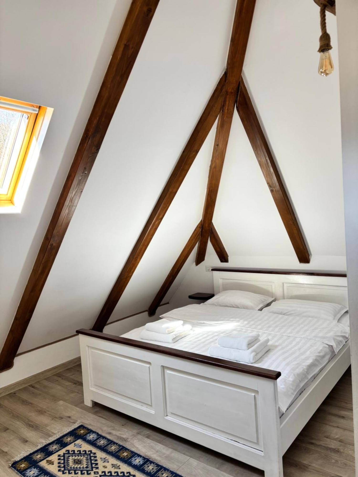 Hotel Casa Berg Vişeu de Sus Zewnętrze zdjęcie