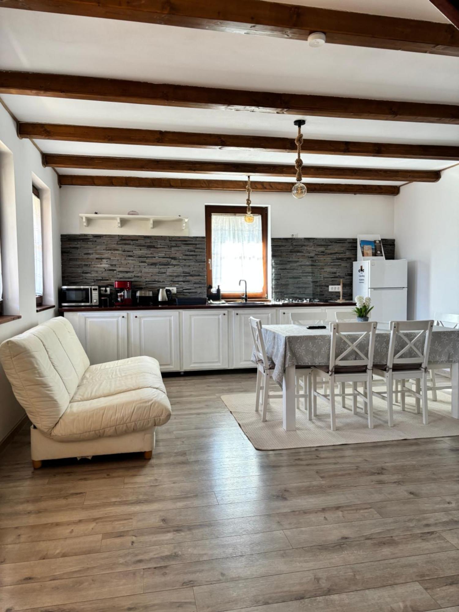 Hotel Casa Berg Vişeu de Sus Zewnętrze zdjęcie